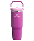 STANLEY IceFlow 2.0 Flip Straw Tumbler with Handle 30 oz | Twist On Lid and Flip Up Straw | Leakproof Water Bottle | Insulated Stainless Steel | BPA-Free | Dark Blossom 🍁 All In One Marketplace Canada