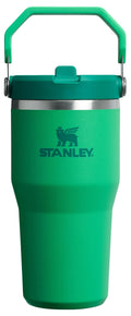 Stanley IceFlow 2.0 Flip Straw Tumbler with Handle 20 oz | Twist On Lid and Flip Up Straw | Leak Resistant Water Bottle | Insulated Stainless Steel | BPA-Free | Meadow 🍁 All In One Marketplace Canada