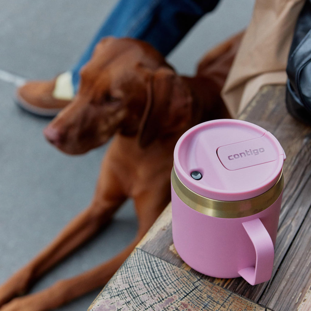 Contigo SnapSeal 14 oz Office Mug | Vacuum-Insulated Stainless Steel Tumbler for Hot Coffee & Tea or Cold Drinks | Spill-Proof Lid w/Straw Compatibility | BPA & Lead-Free | Dishwasher Safe 🍁 All In One Marketplace Canada